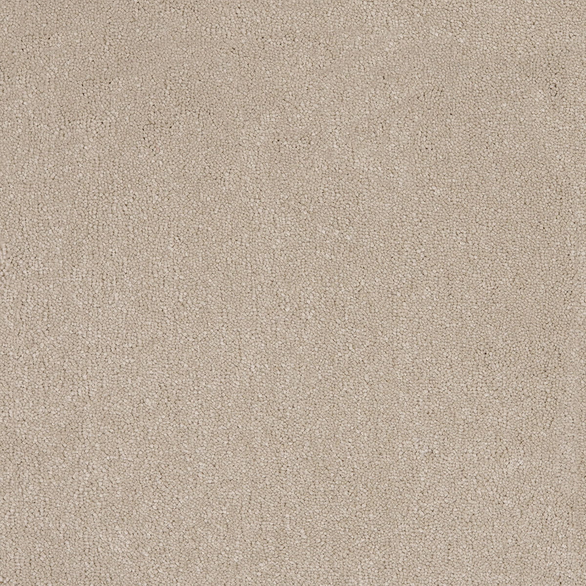 Aquarius 33 - Hammock macro shot