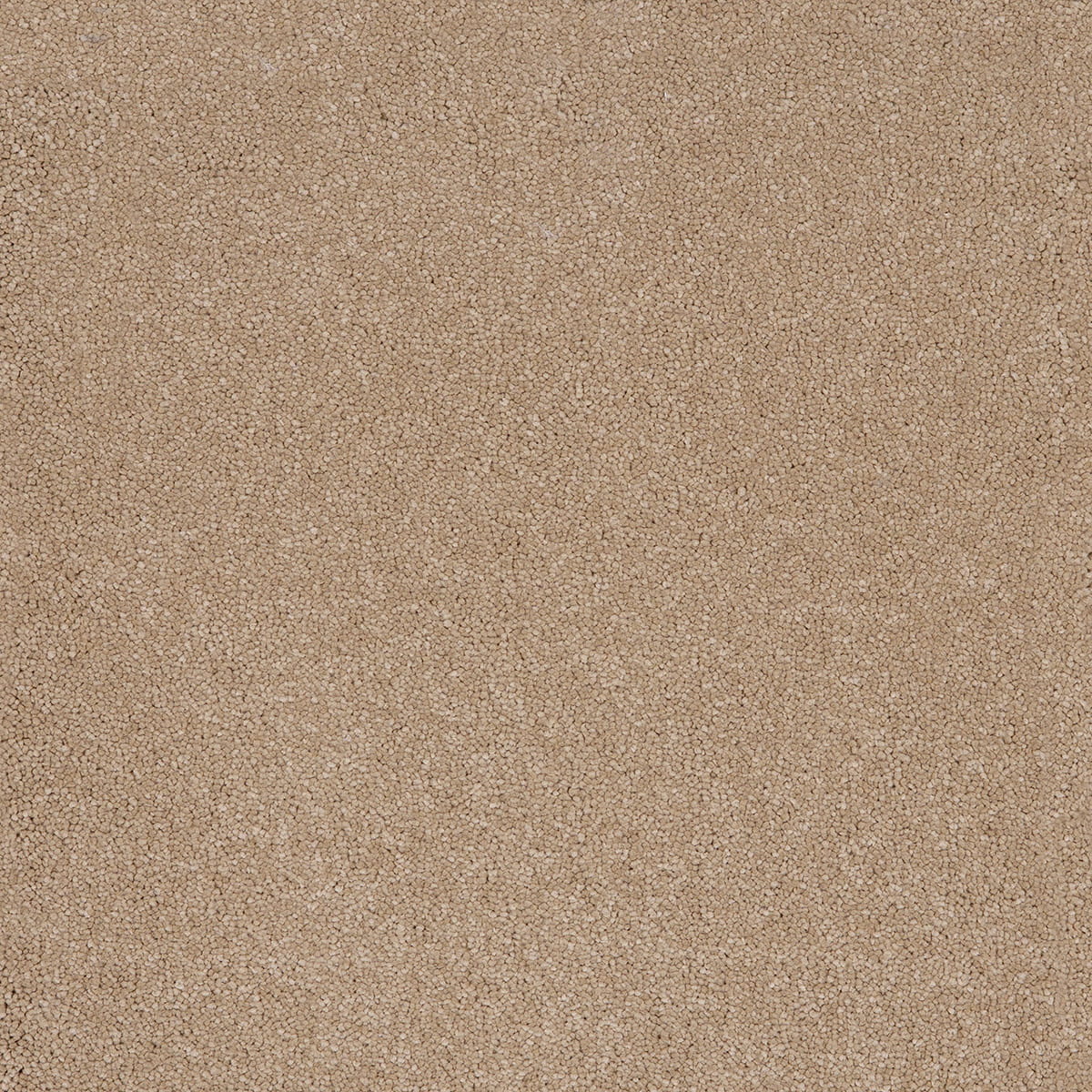 Aquarius 37 - Sandstone macro shot