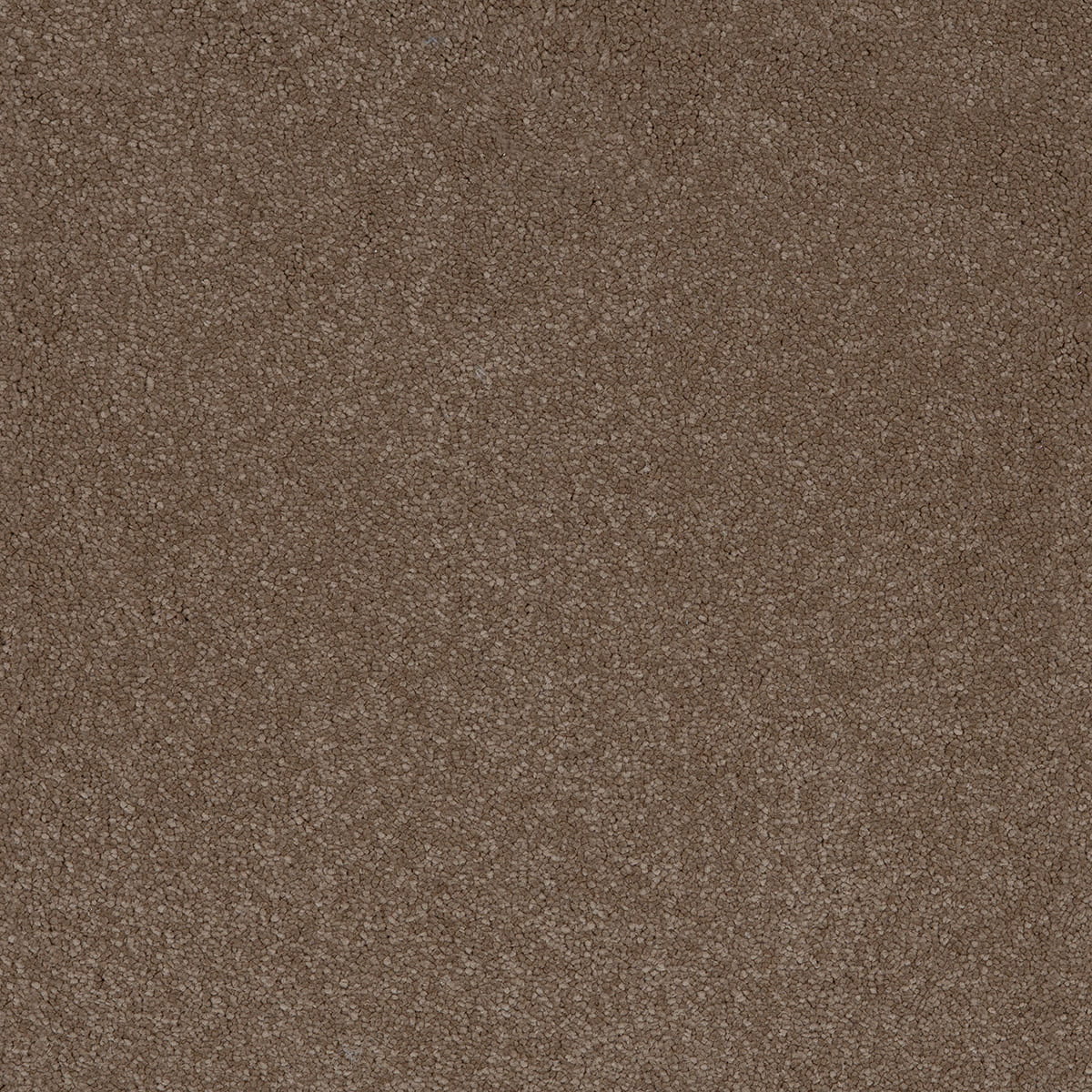 Aquarius 40 - Moleskin macro shot