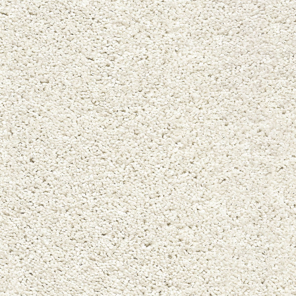 Centaurus 03 - Flash White macro shot