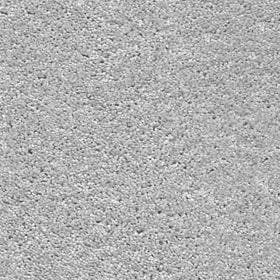 Centaurus 09 - Shadow White macro shot