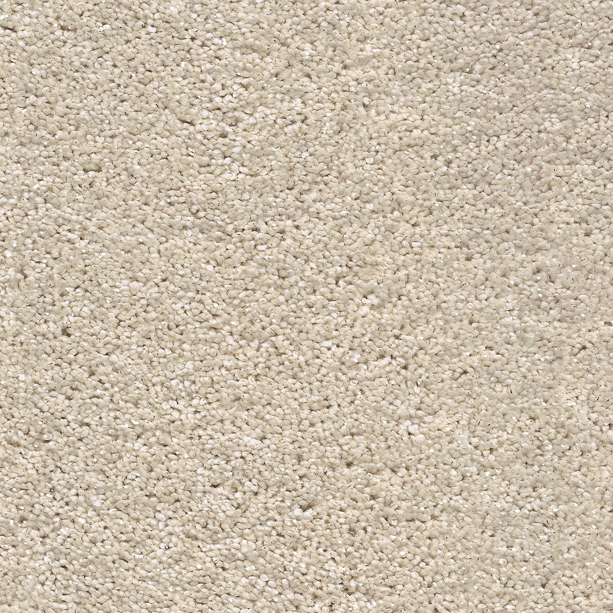 Centaurus 30 - Cornsilk macro shot