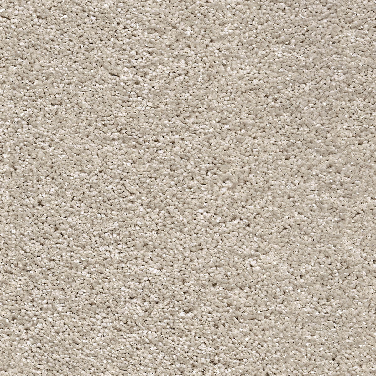 Centaurus 33 - Vanilla macro shot