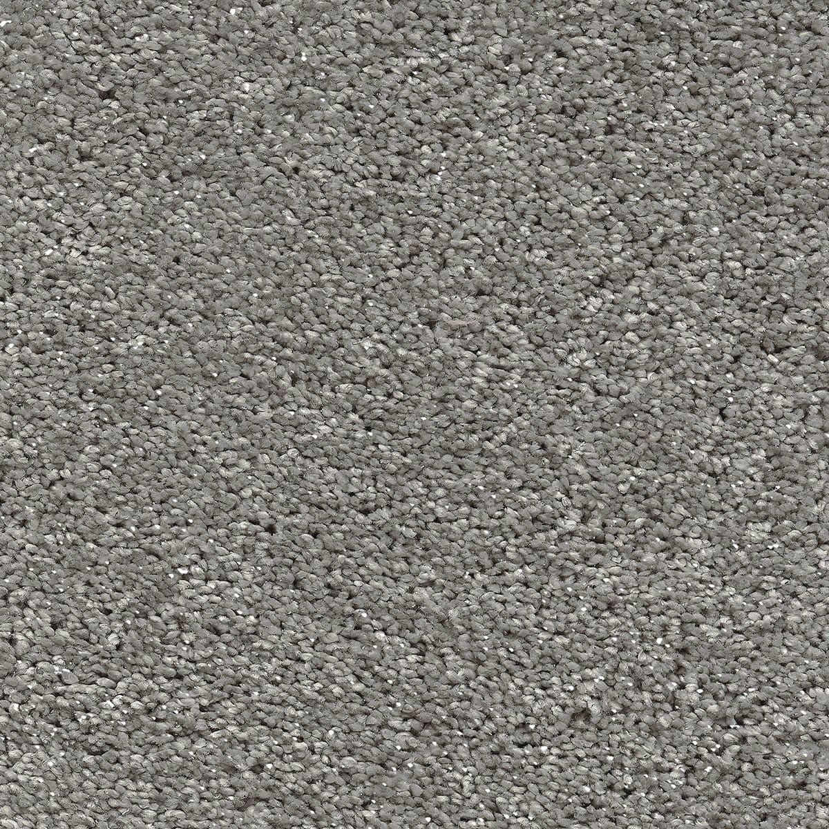 Centaurus 92 - Silver Cloud macro shot