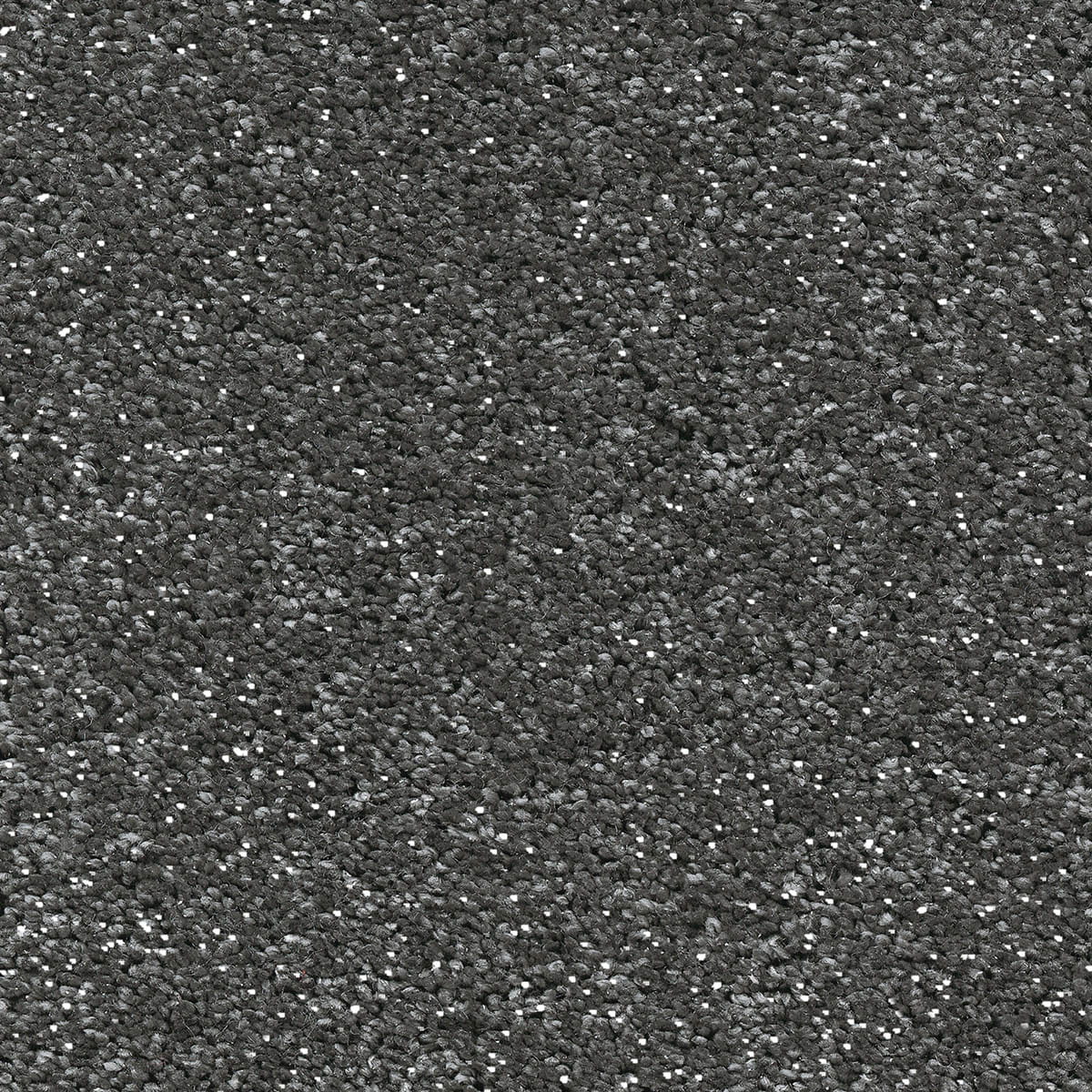 Centaurus 97 - Grey Coral macro shot