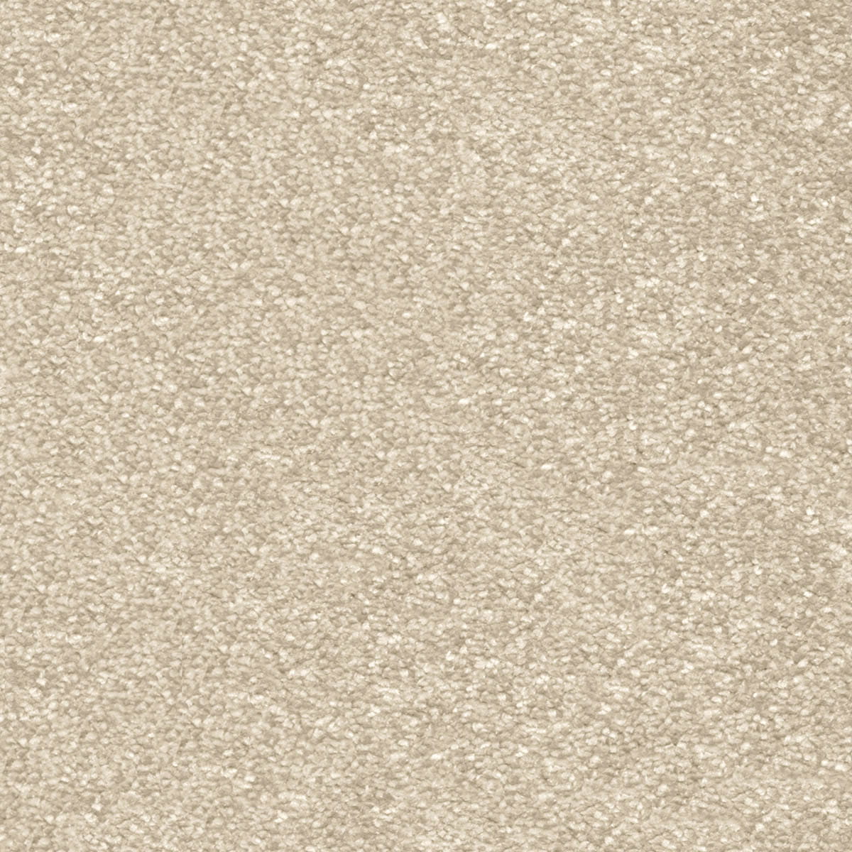 Centurion 31 - Shortbread macro shot