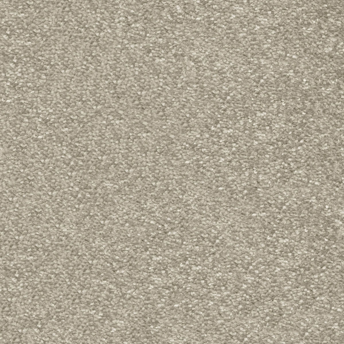 Centurion 33 - Cotswold Stone macro shot