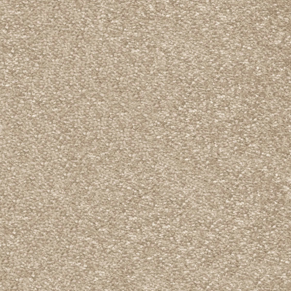 Centurion 35 - Sandcastle macro shot