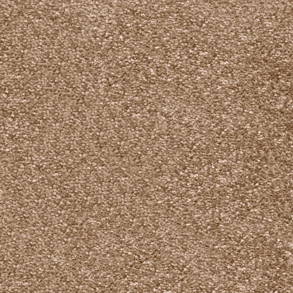 Centurion 40 - Latte macro shot