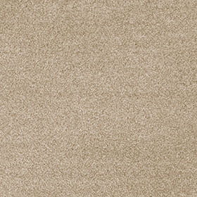 Cassius 33 - Temple macro shot