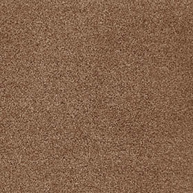 Cassius 38 - Okra macro shot