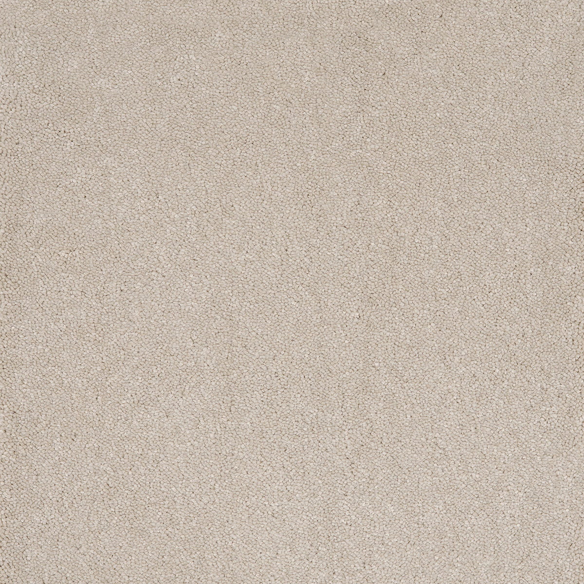 Aries 09 - Cotton macro shot