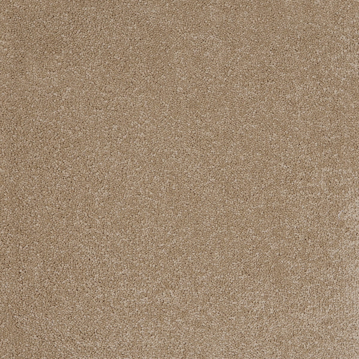 Aries 37 - Sandstone macro shot