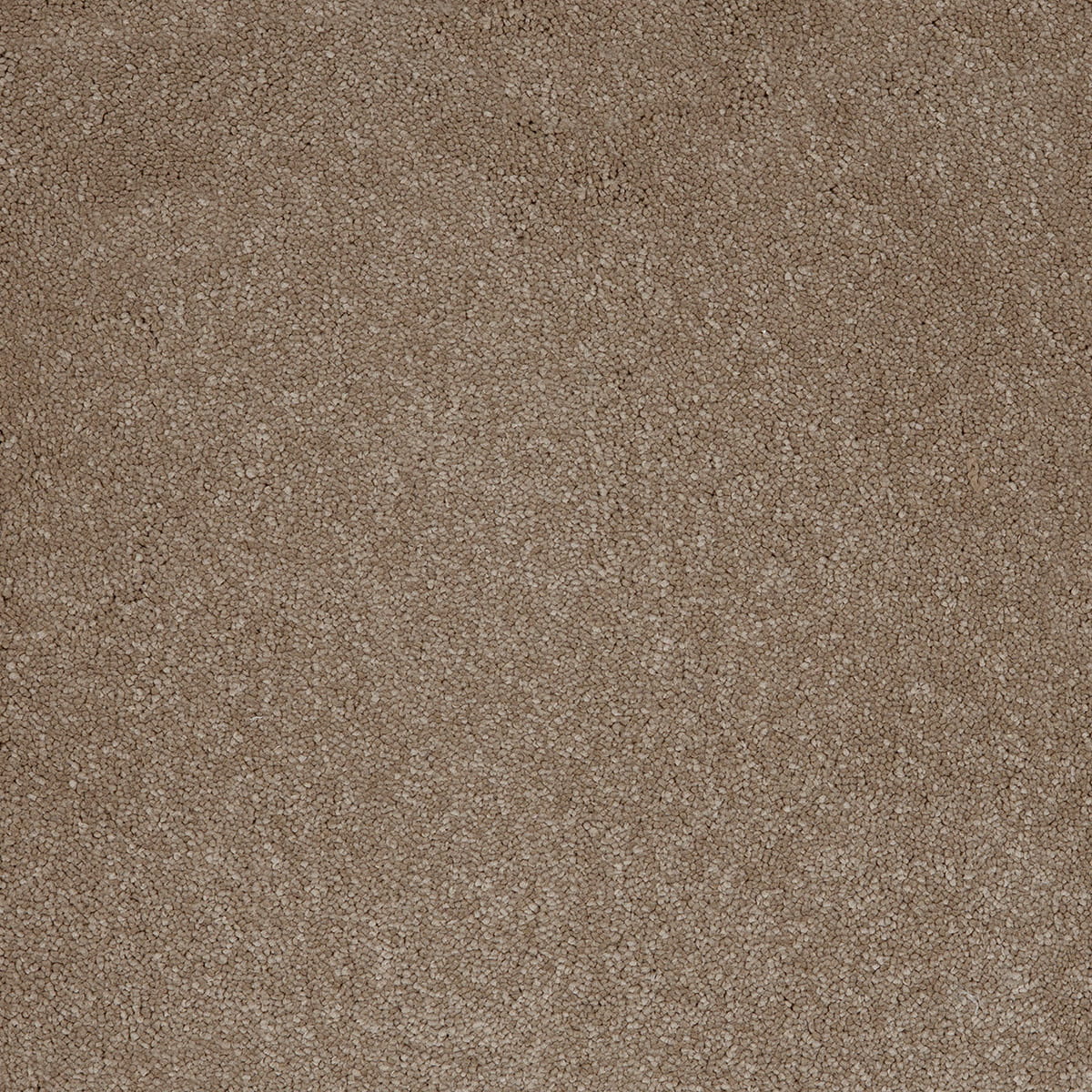 Aries 39 - Fudge macro shot