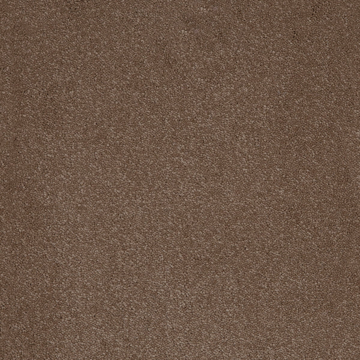 Aries 40 - Moleskin macro shot