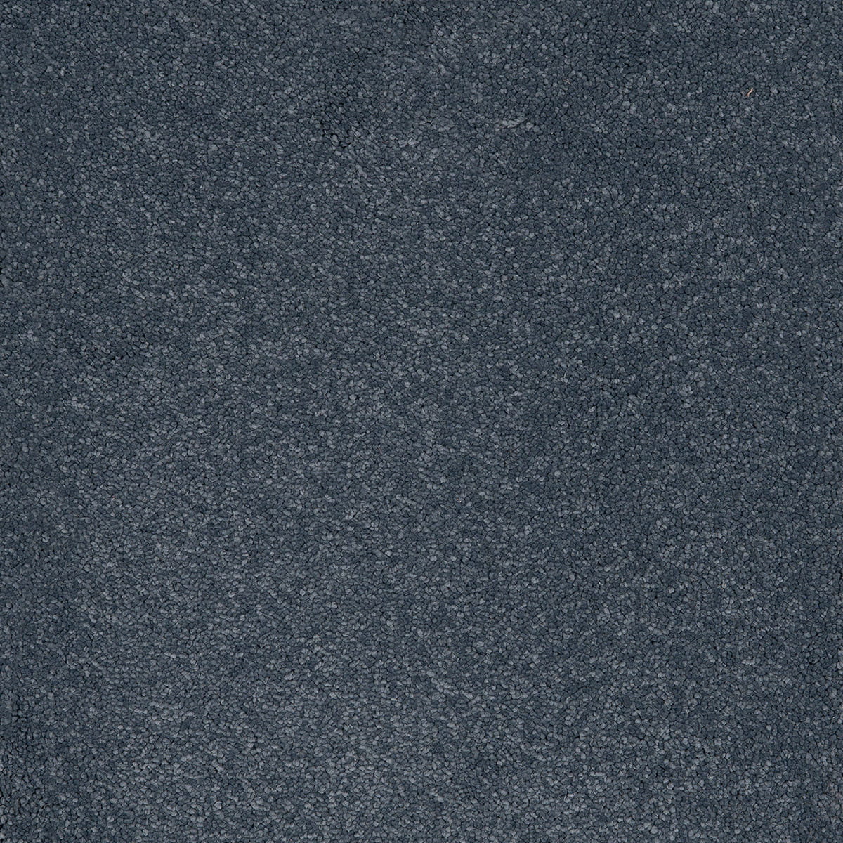 Aries 79 - Wedgewood macro shot