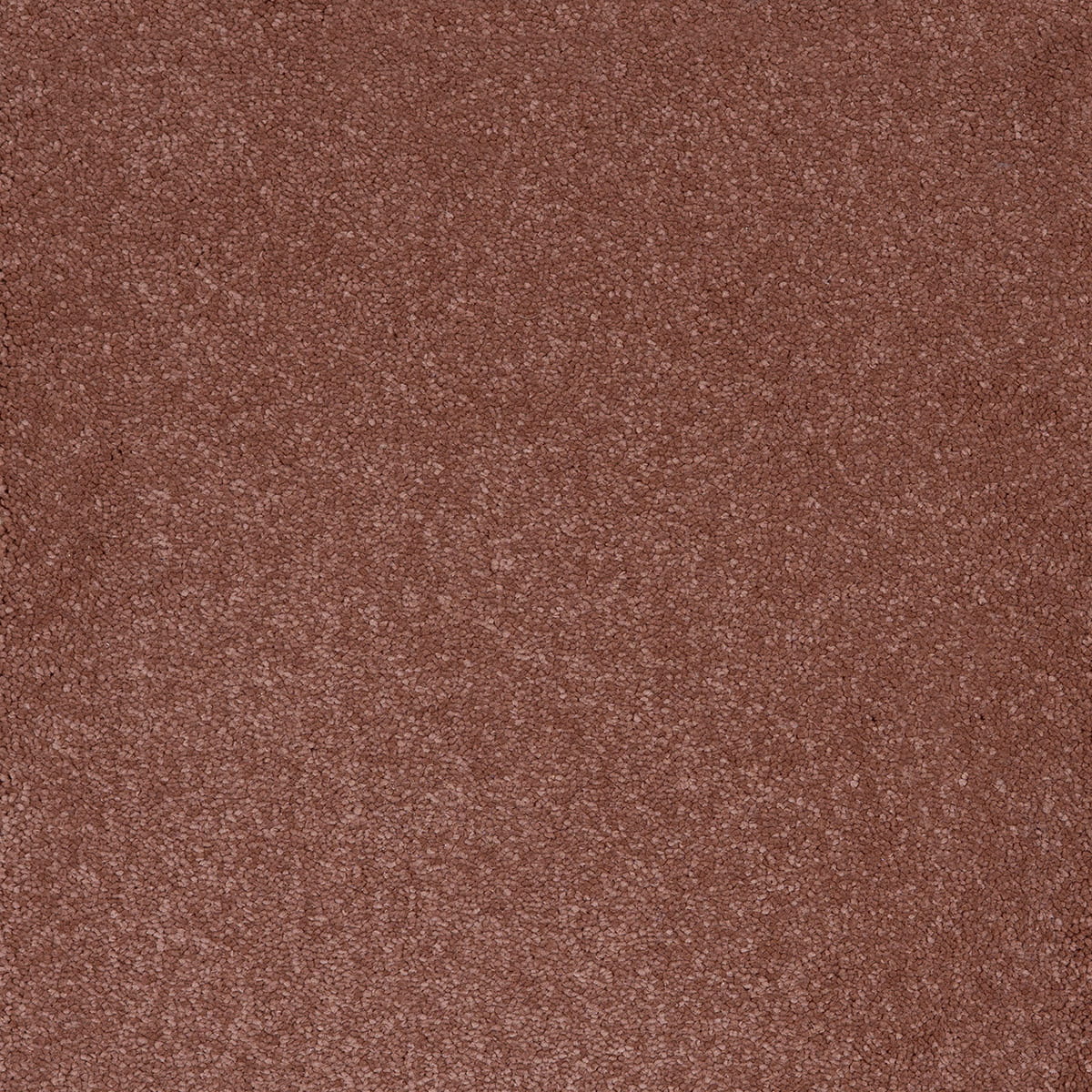 Aries 86 - Blush macro shot