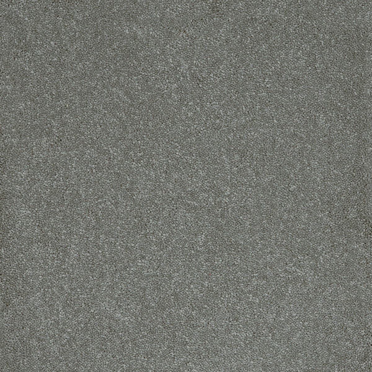 Aries 95 - Steel macro shot