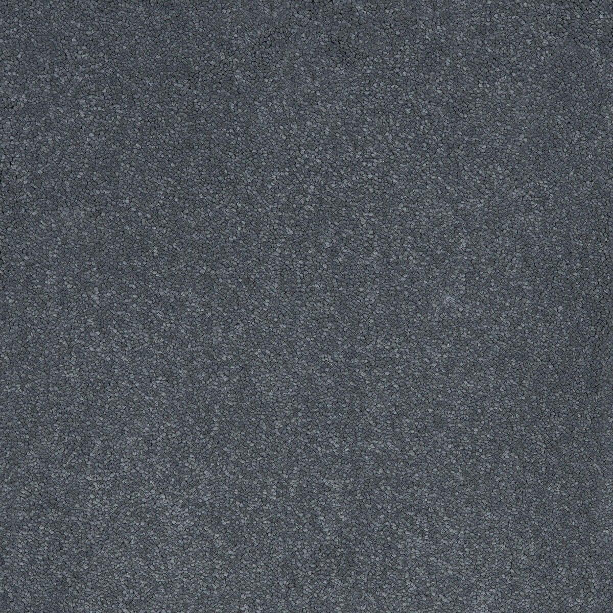 Aries 96 - Fog macro shot