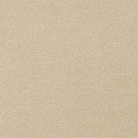 Darius 03 - White Swan macro shot