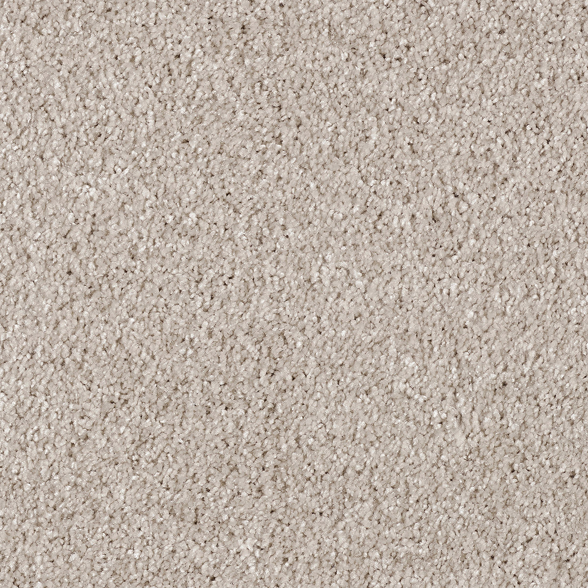 Darius 32 - Mistflower macro shot