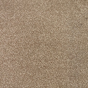 Darius 34 - Acacia macro shot