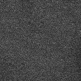 Darius 99 - Sesame macro shot