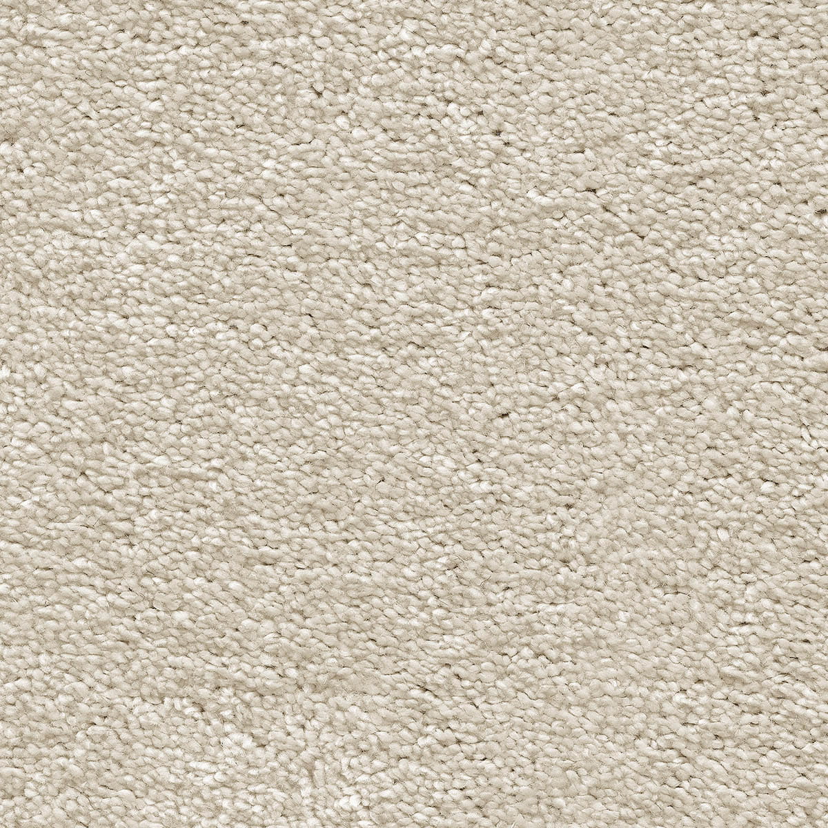 Magnificus 30 - Silkworm macro shot