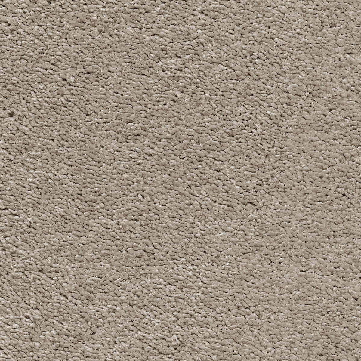 Magnificus 35 - Sandcastle macro shot