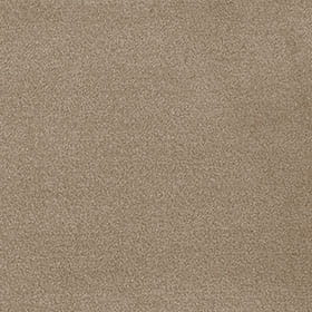 Septimus 37 - Sandy Steps macro shot