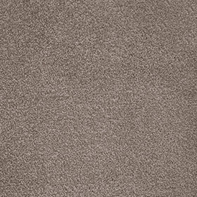 Septimus 40 - Pale Birch macro shot