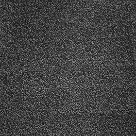 Septimus 97 - Autumn Moore macro shot