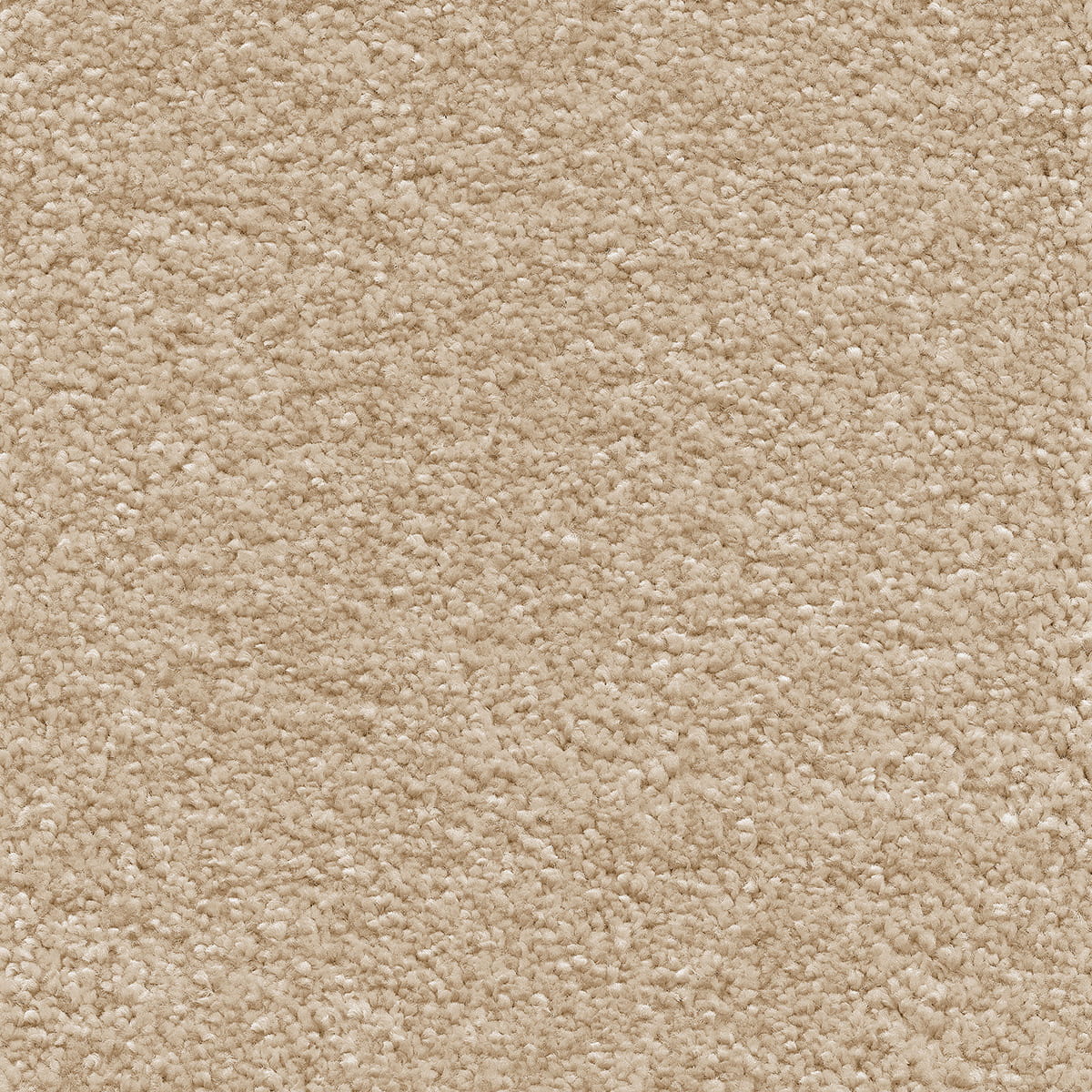 Sirius 05 - Cream macro shot