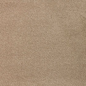 Severus 31 - Baking Day macro shot