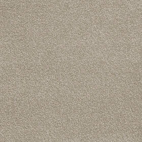 Severus 33 - Stony Ground macro shot