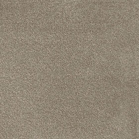 Severus 38 - Portland Stone macro shot