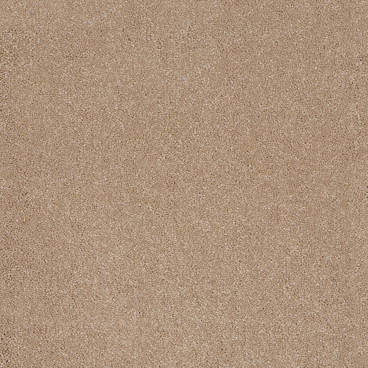 Taurus 37 - Sandstone macro shot