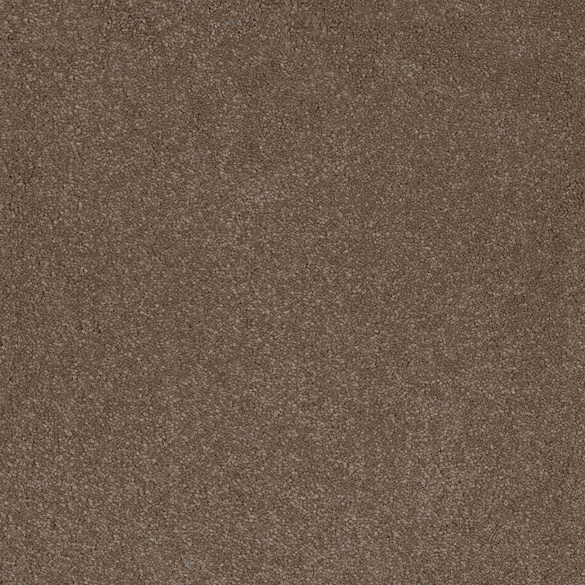 Taurus 40 - Moleskin macro shot