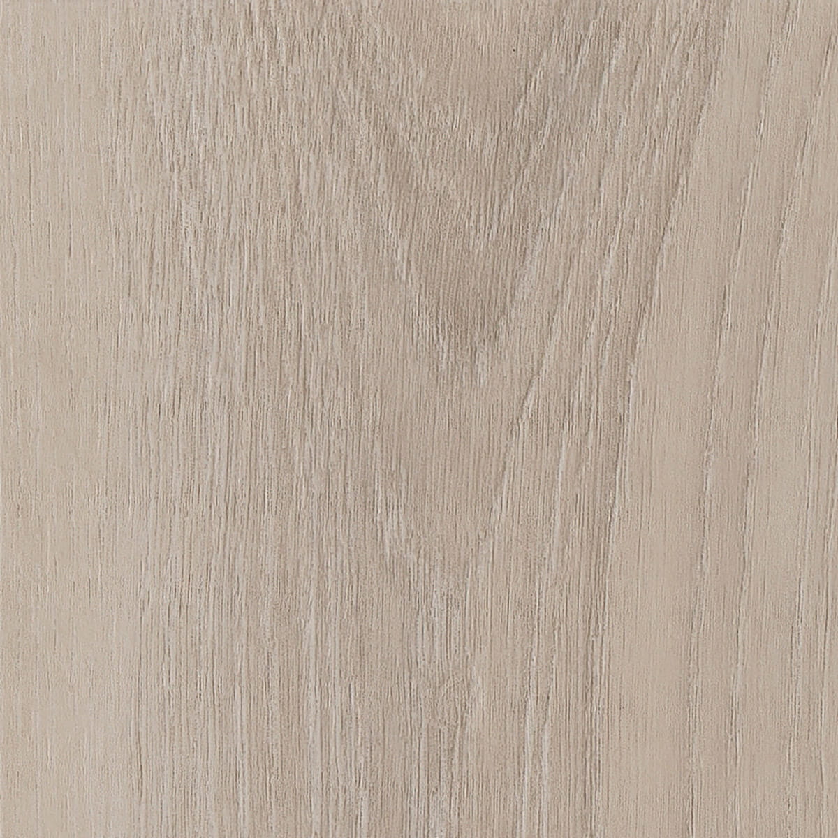 Divine Oak - Pure macro shot