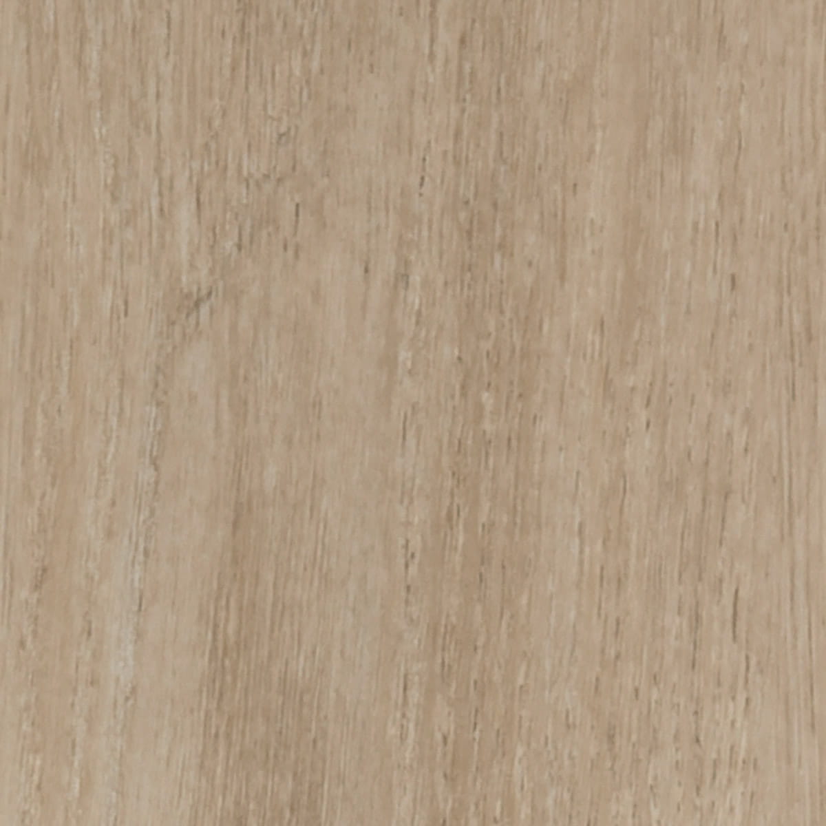 Heritage Oak - Sandringham macro shot