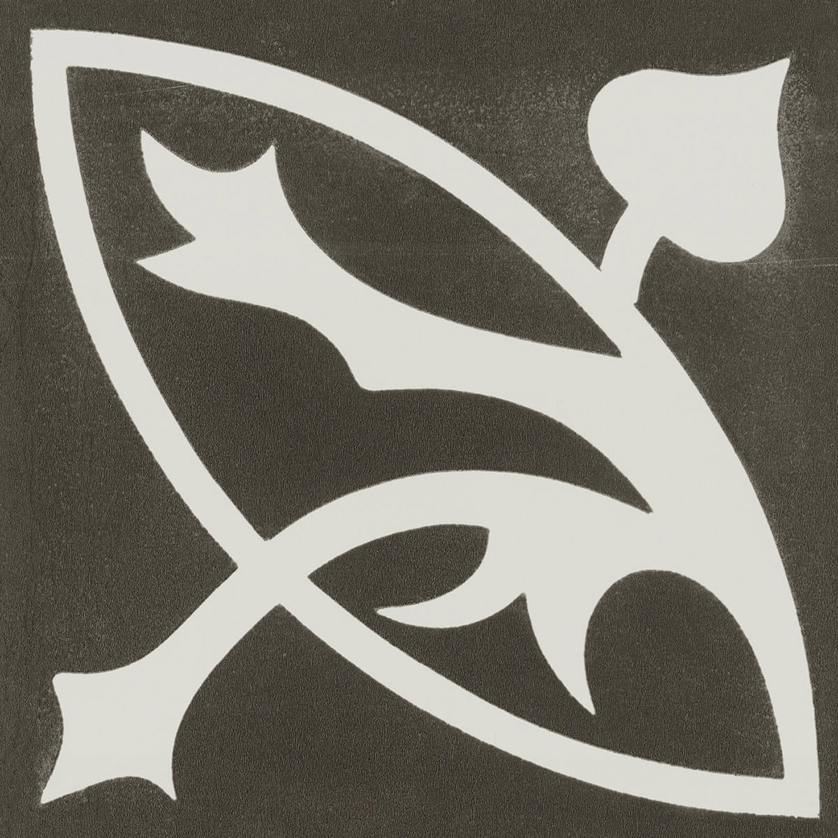 Victorian Treasure - Charcoal macro shot