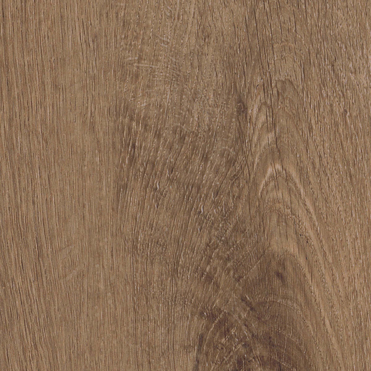 Royal Oak - Mocca macro shot