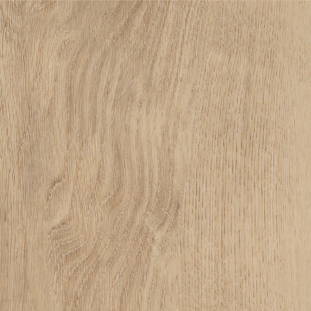 Royal Oak - Blonde macro shot