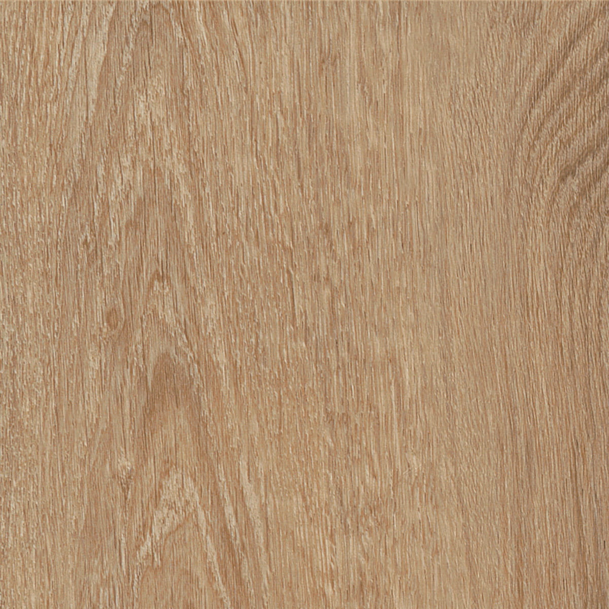 Royal Oak - Traditional macro shot