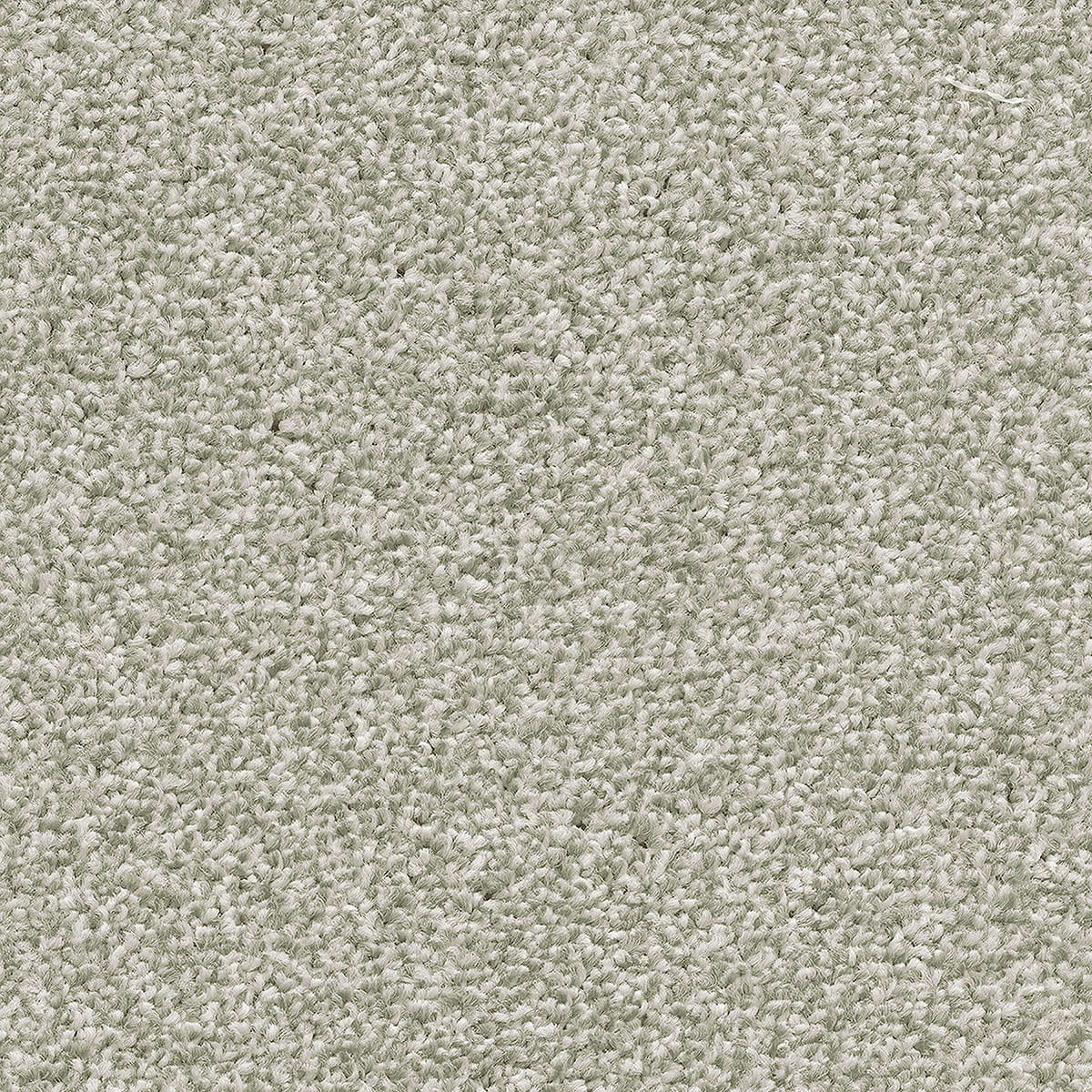 Cassius 75 - Rainlake