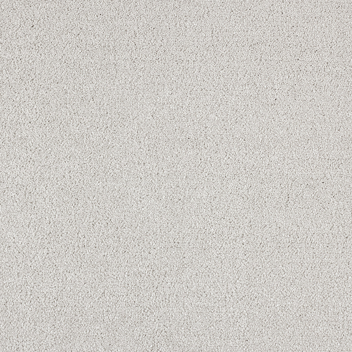 Canopus 30 - Cottonbud