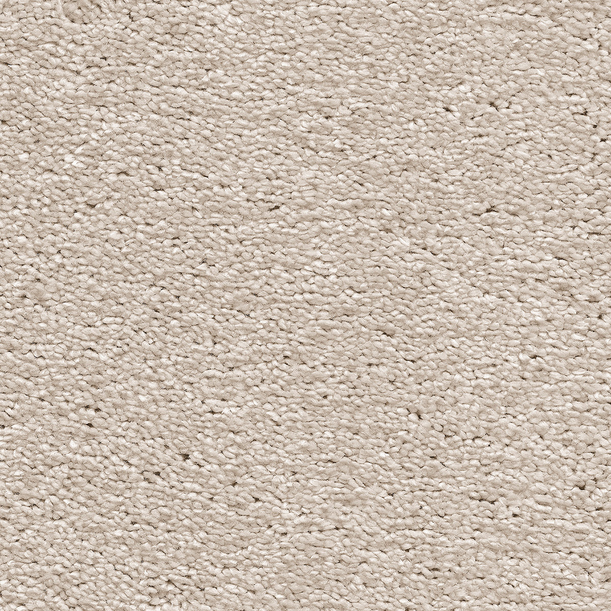 Canopus 30 - Cottonbud