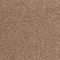 Canopus 35 - Biscuit Crumbs