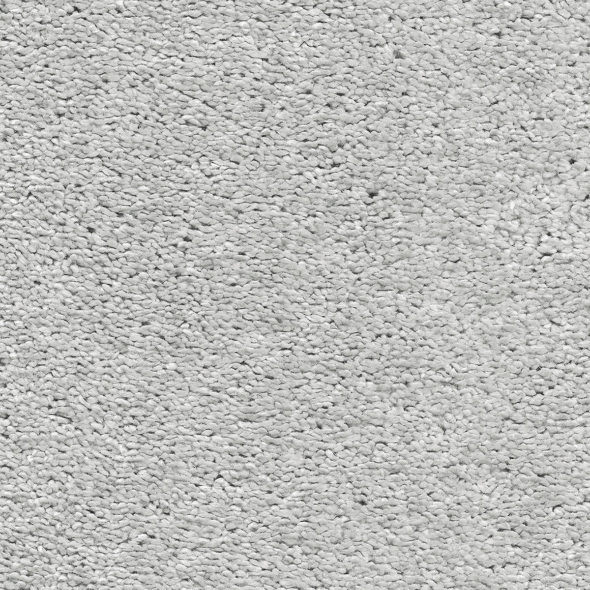 Canopus 30 - Cottonbud