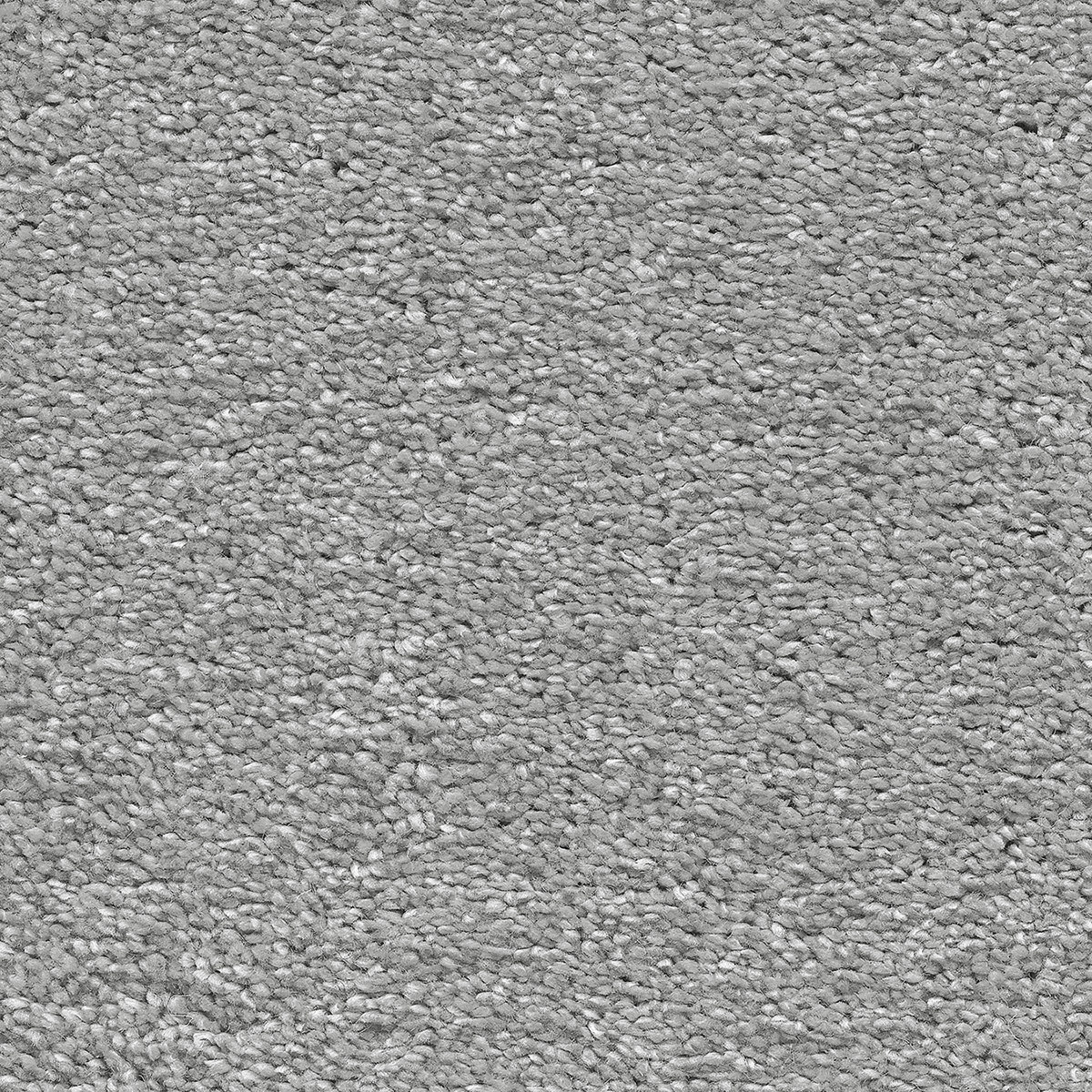 Canopus 30 - Cottonbud